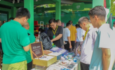 “数商赋能 电商惠企”：晋城市第八届网络购物节激活消费新引擎
